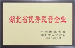 程力湖(hú)北省优秀民(mín)营企业证书